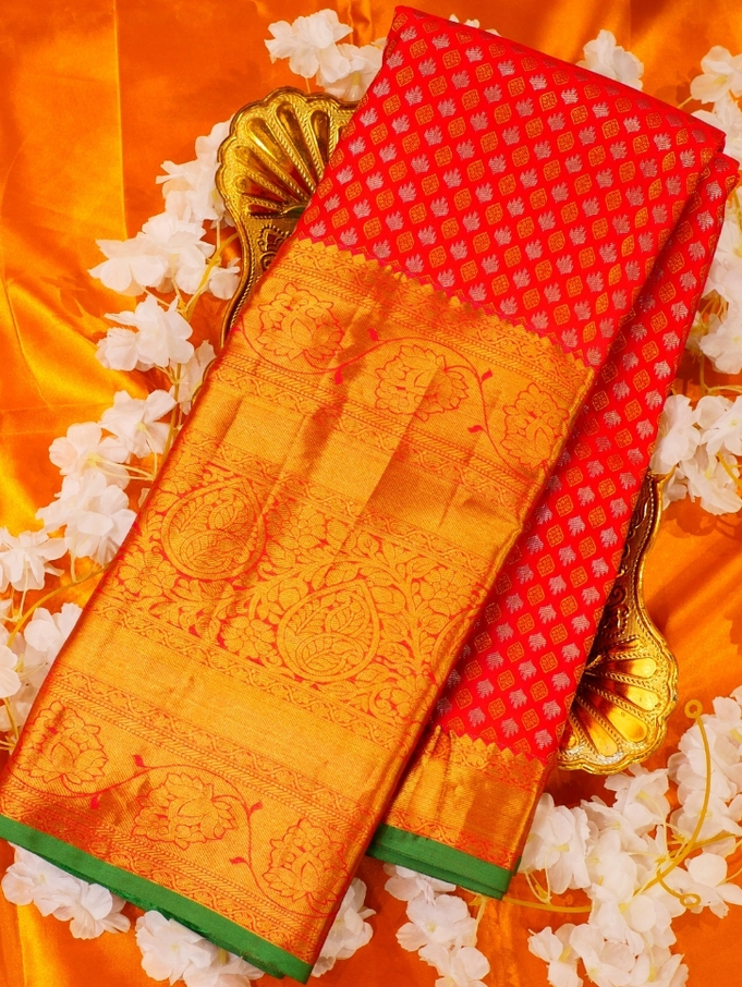 SEMI PATTU